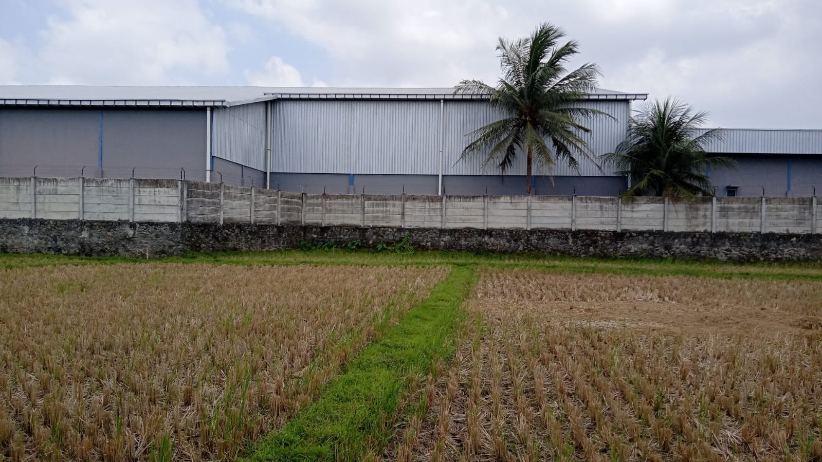 Peninjauan Calon Lokasi Lahan Pembangunan PLUT-KUMKM 